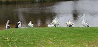 20181119_134924