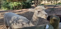 20181126_164840