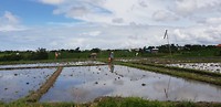 20181201_105513(0)