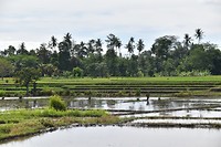 D56_0638