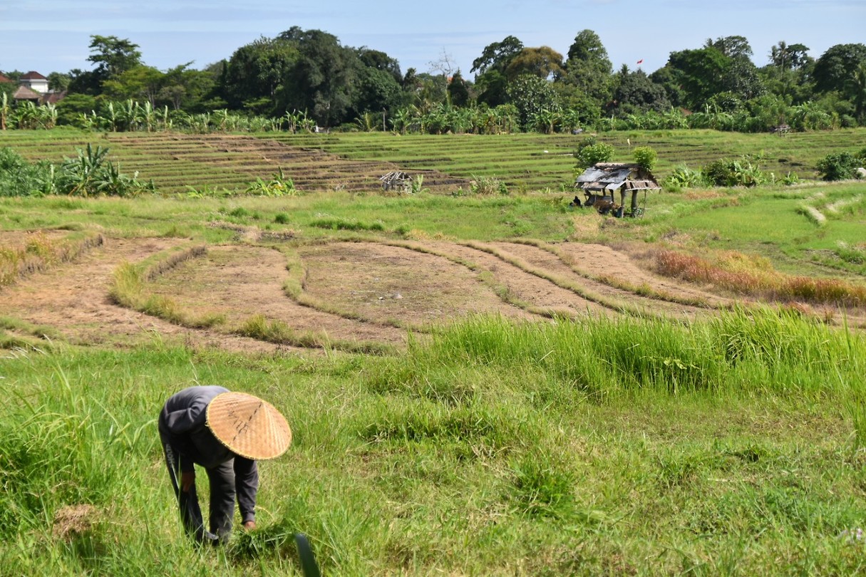 D56_0664