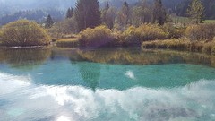 Pure nature