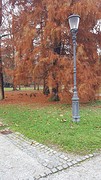 Tivoli park