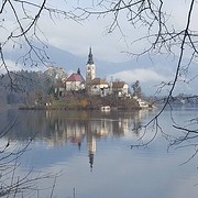 Bled