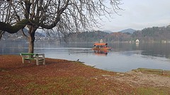 Pretty lake Bled