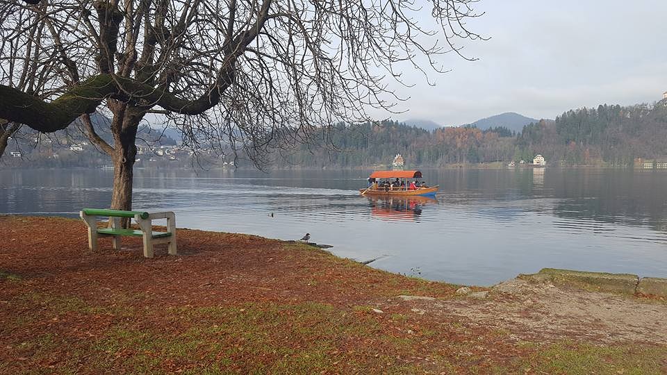 Pretty lake Bled