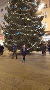 Little christmas tree