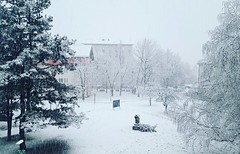 View from our room