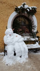 Snow family