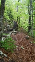Triglav national park