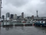 Auckland haven