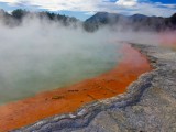 IMG_3165
