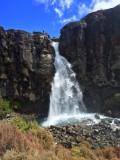 thumb_IMG_3228_1024