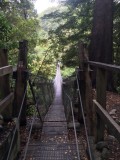 thumb_IMG_3319_1024