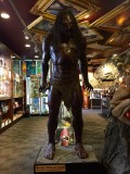 thumb_IMG_3329_1024