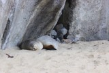 thumb_IMG_3874_1024