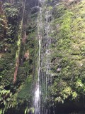 thumb_IMG_3741_1024