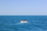 thumb_IMG_4130_1024