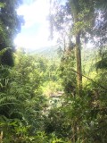 thumb_IMG_3779_1024