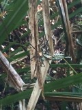 thumb_IMG_3781_1024