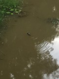 thumb_IMG_3797_1024