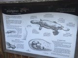 thumb_IMG_3799_1024