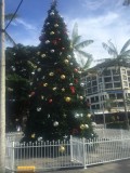 thumb_IMG_3824_1024