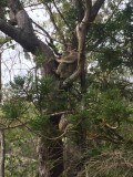 thumb_IMG_3831_1024