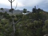 thumb_IMG_3840_1024