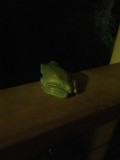 thumb_IMG_3850_1024