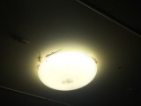 thumb_IMG_3857_1024