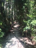 thumb_IMG_4073_1024