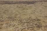 thumb_IMG_4249_1024