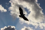 thumb_IMG_4290_1024