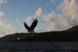 thumb_IMG_4291_1024