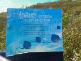thumb_IMG_3878_1024