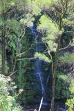 thumb_IMG_4952_1024