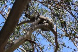 thumb_IMG_4974_1024