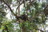 thumb_IMG_4978_1024