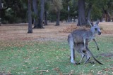 thumb_IMG_5298_1024