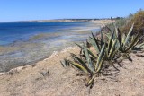 thumb_IMG_5410_1024