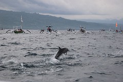 thumb_IMG_6187_1024