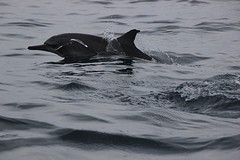 thumb_IMG_6249_1024