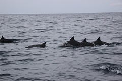 thumb_IMG_6271_1024