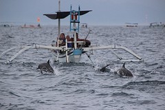 thumb_IMG_6357_1024
