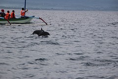 thumb_IMG_6446_1024