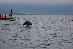 thumb_IMG_6460_1024