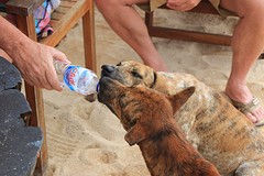 thumb_IMG_6645_1024
