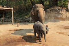 thumb_IMG_7696_1024