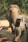 thumb_IMG_7697_1024